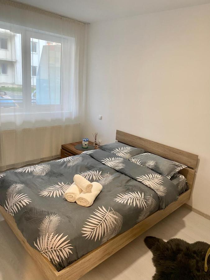 Apartament Irina Braşov Buitenkant foto