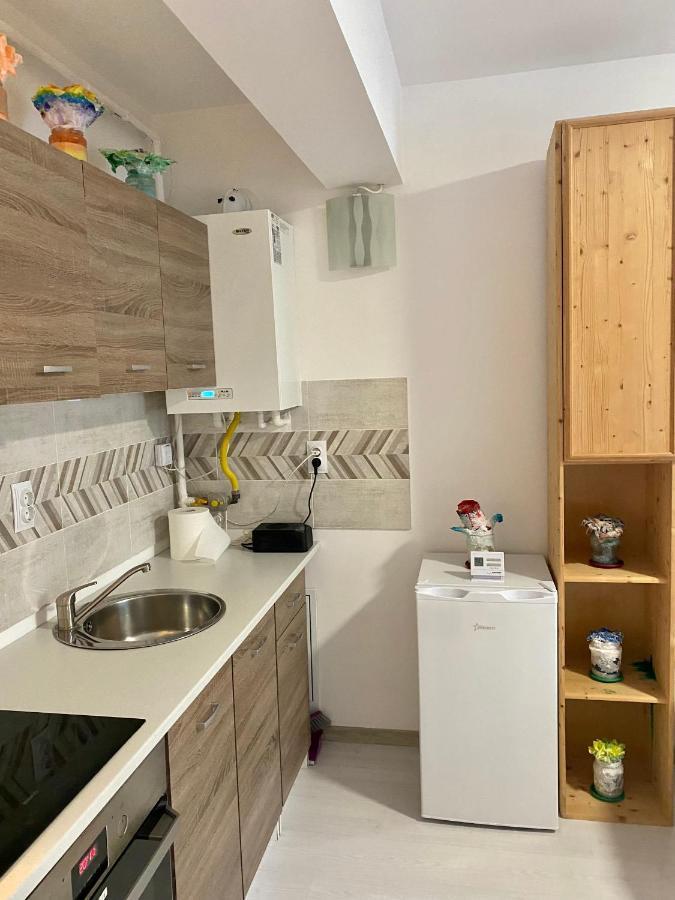 Apartament Irina Braşov Buitenkant foto